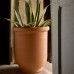 Vase Buis Lisse